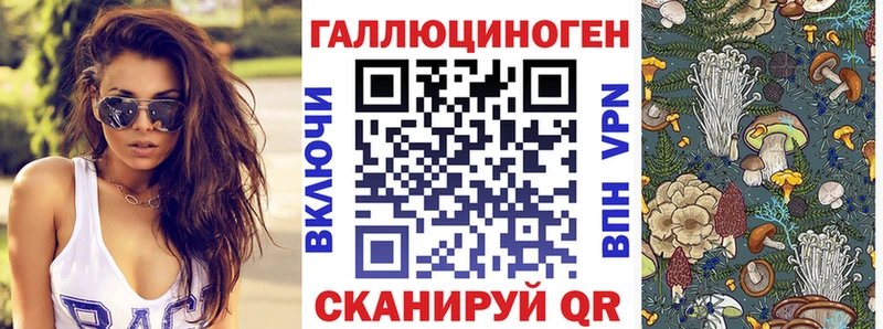 Псилоцибиновые грибы прущие грибы  Отрадный 